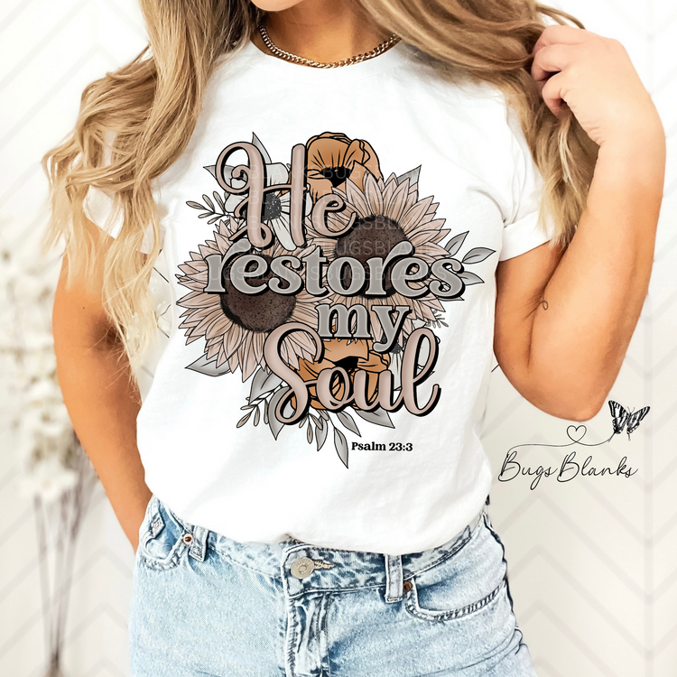 Soul Full Color Transfer